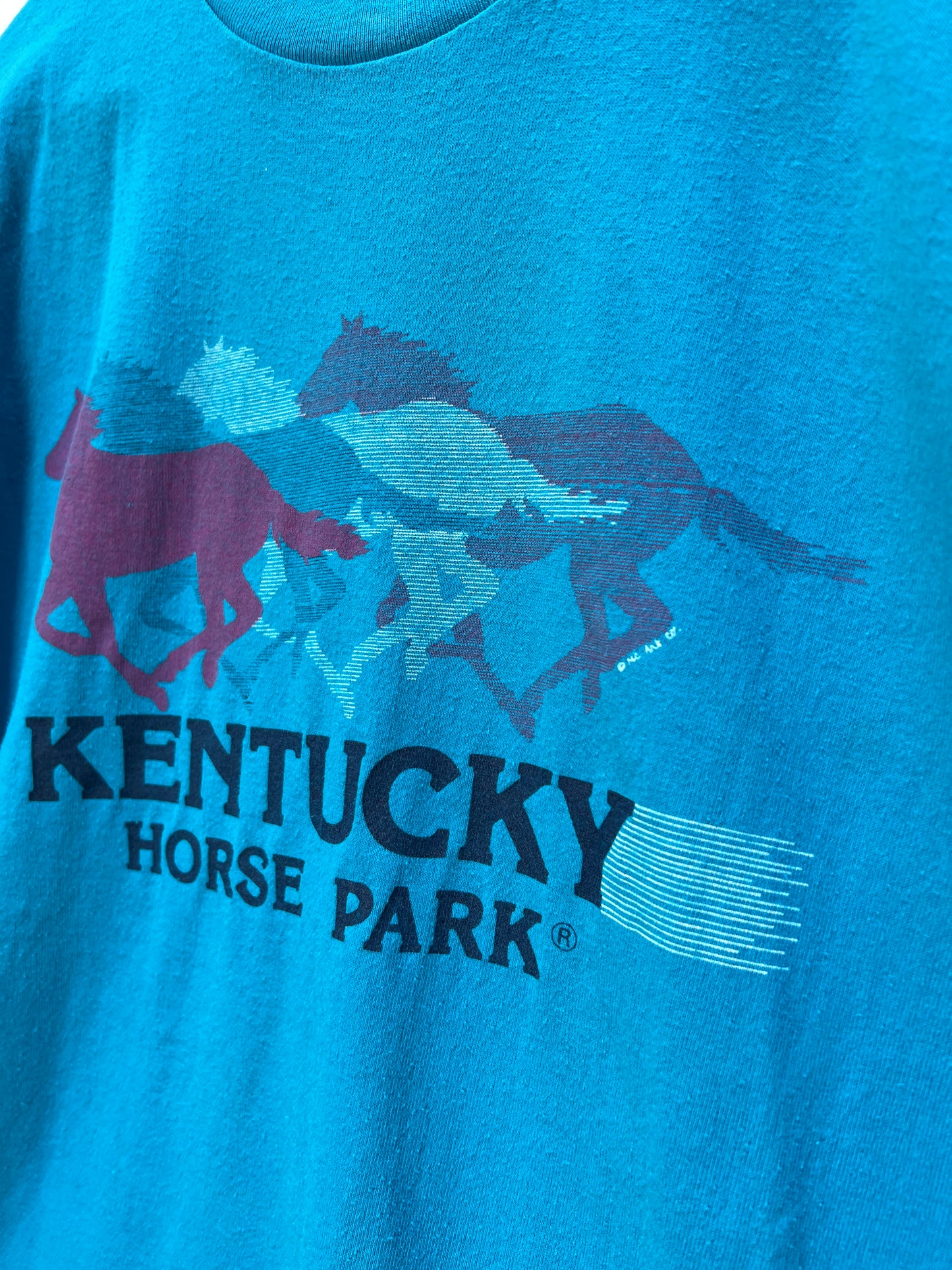 1 Kentucky Horse Park Tee sz XL Single Stitch USA Made